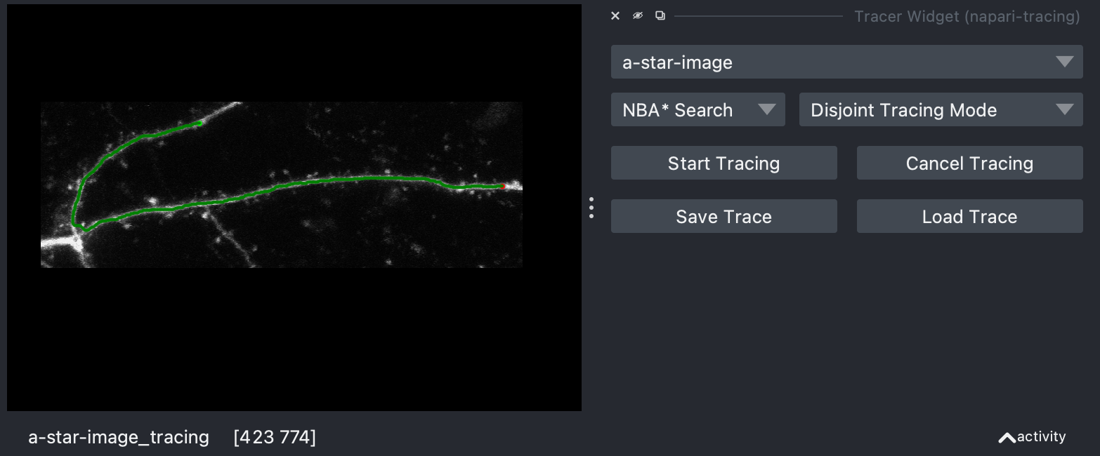Napari Tracing Plugin